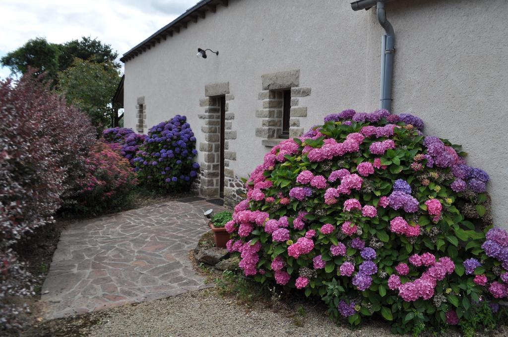 Perrault Gites Loscouet-sur-Meu Esterno foto